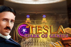 tesla slot